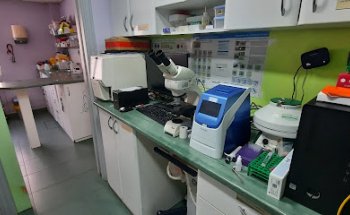 Juan Jesús Domínguez Arias