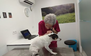 Clínica Veterinària Núria Plana