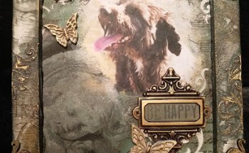 CENTRE VETERINARI URPES VET - Medicina felina, canina y de animales exóticos.