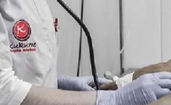 Kukume centro veterinario