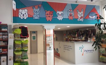 Consulta Veterinaria La Palmera