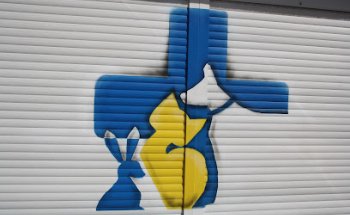 Centre Veterinari Vicent Colechà