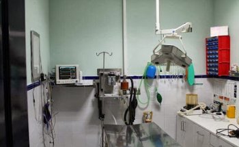 Clínica Veterinaria Jayda