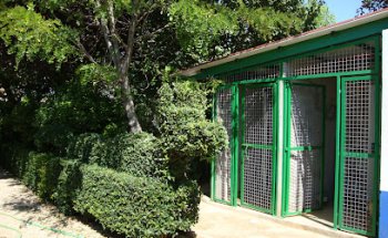 Residencia Canina en Tomelloso LOS CANTUESOS