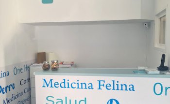 Veterinario Vetmascota