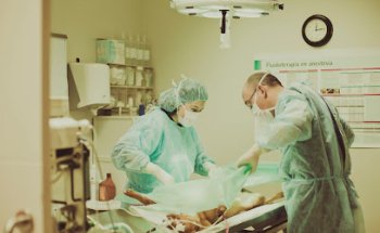 Clínica Veterinària Quatre Camins