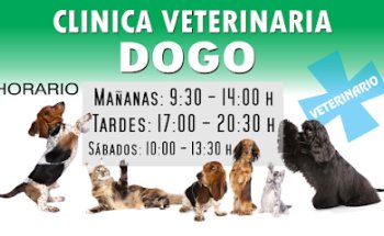 Clínica Veterinaria Dogo