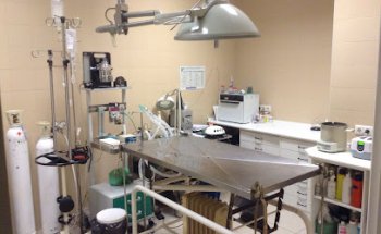 Clínica Veterinaria Spaniel