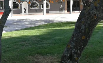 Centro Veterinario Daktari