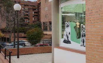 Clínica Veterinaria 2000