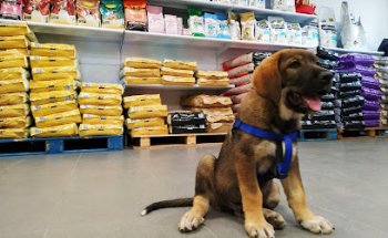 Tienda hipica Veterval