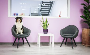 Centre Veterinari Prozovalls