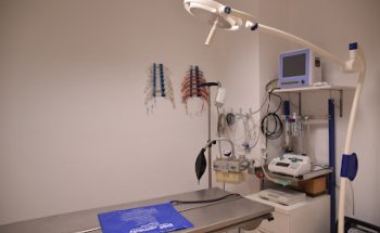 AlcoVet's. Clínica Veterinària d’animals exòtics i domèstics