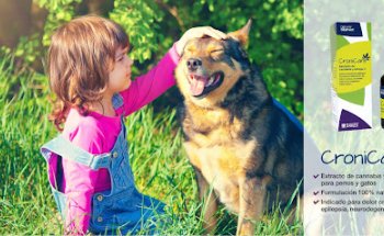 Cantabria Labs, Stangest