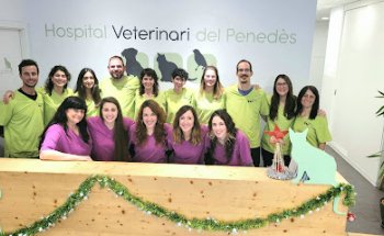 Hospital Veterinari del Penedès - Vilafranca del Penedès