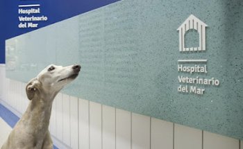 Hospital Veterinario del Mar