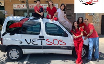 Veterinario Villanueva de la Cañada | VETSOS