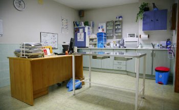 Clínica Veterinaria Lares