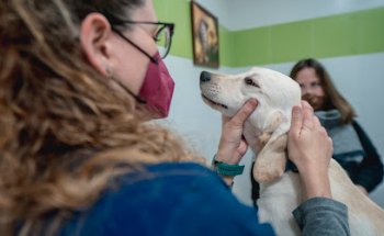 Hospital Veterinario San Bernardo