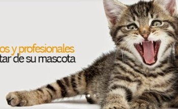 Clínica Veterinaria Sant Antoni