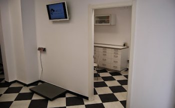 AMICS Centre Veterinari