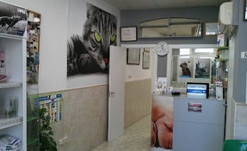 Clínica Veterinaria Xàtiva
