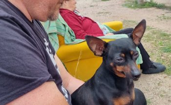 Europa Clinica Veterinaria