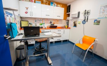 Clínica Veterinaria San Sebastián