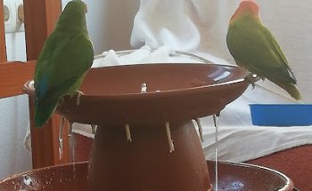 Clinica Veterinaria Los Molinos