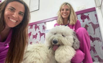 Clínica Veterinaria Galán