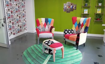 La Clínica del Estadio - Centro Veterinario