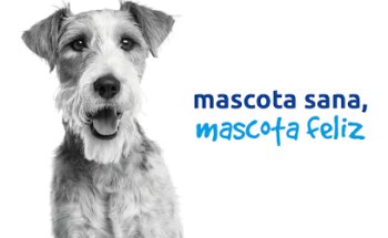 Clínica Veterinaria Ávila Cádiz