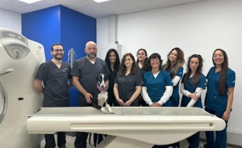 Hospital Veterinario Costa Azahar