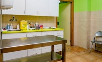 Centre Veterinari de la Plana