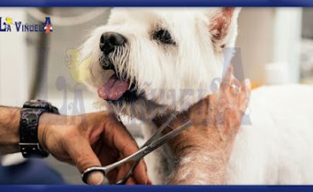 Mascotas La Viñuela