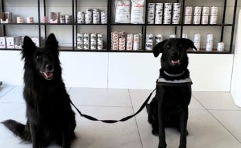 Hospital Veterinario Galápago - Tienda y Peluquería