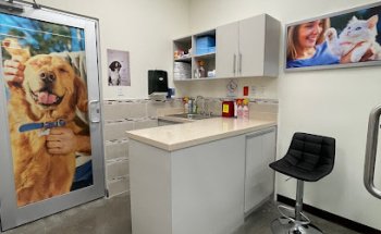 Hospital Veterinario VETPETS