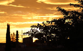 Hospital Veterinario Dr Alejandro Mora