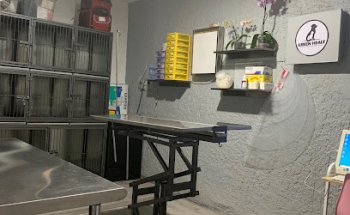 Veterinaria Green health