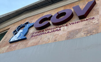 Clínica Oncológica Veterinaria Guadalajara