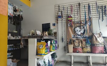 La Casa de la Mascota