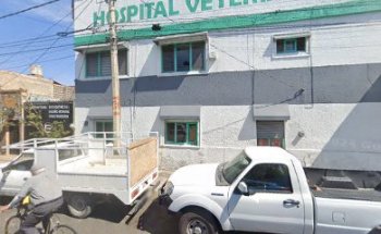 Hospital Veterinario Shasta