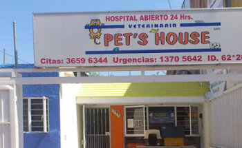 Veterinary Pet's House