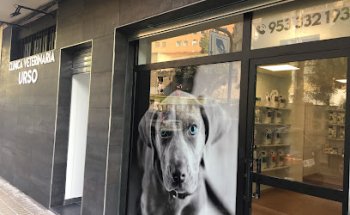 CLINICA VETERINARIA URSO