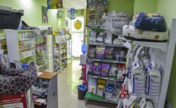 Clínica Veterinaria Corazón de León