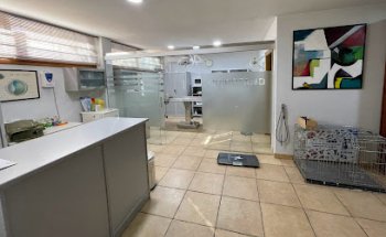 CLÍNICA VETERINARIA SÁNCHEZ Y RIBES