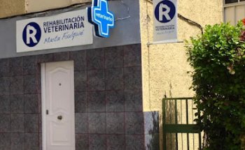 Rehabilitación Veterinaria Marta Foulquié