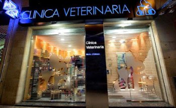 Clínica Veterinaria María J. Cabeza