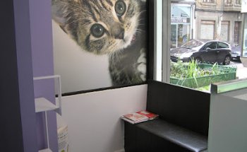 Clínica Veterinaria Centro León