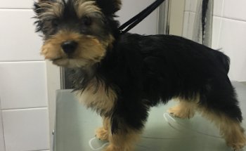 Clínica Veterinaria Eras